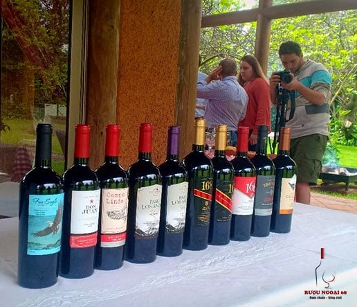 Rượu Vang Chile 168 Rượu vang chile 168 các loại