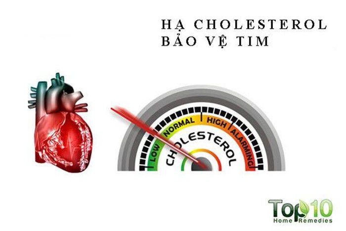 Những lợi ích tuyệt vời của rượu vang đỏ Bảo vệ tim mạch