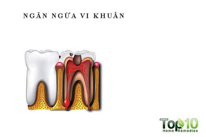 Những lợi ích tuyệt vời của rượu vang đỏ Ức chế vi khuẩn đường miệng