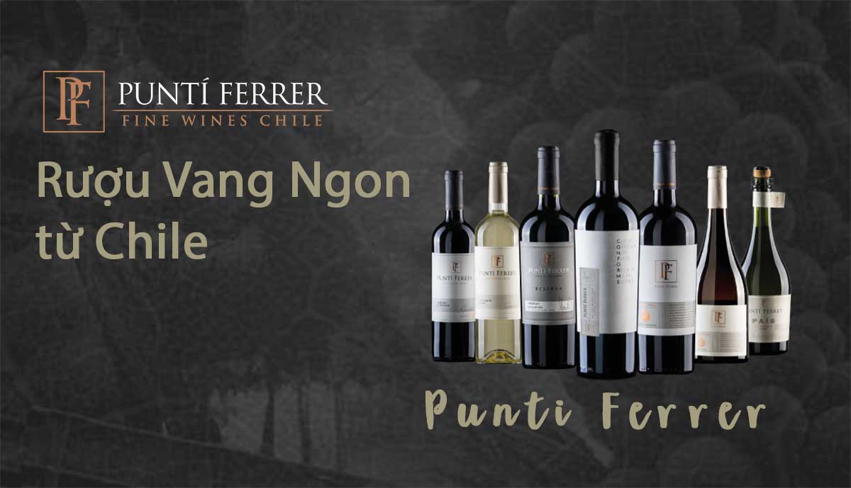 Rượu Vang Punti Ferrer Rượu vang Punti Ferrer - Vang chile ngon