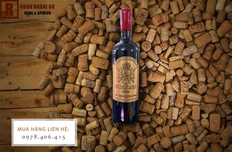 Rượu Vang Ý Stefano Puglia 16 độ ưa chuộng