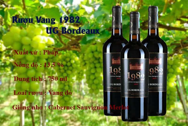 Rượu Vang 1982 UG Bordeaux Rượu Vang 1982 UG Bordeaux giá tốt