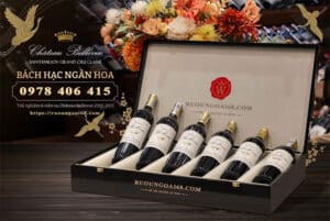 Rượu Vang Pháp Château Bellevue