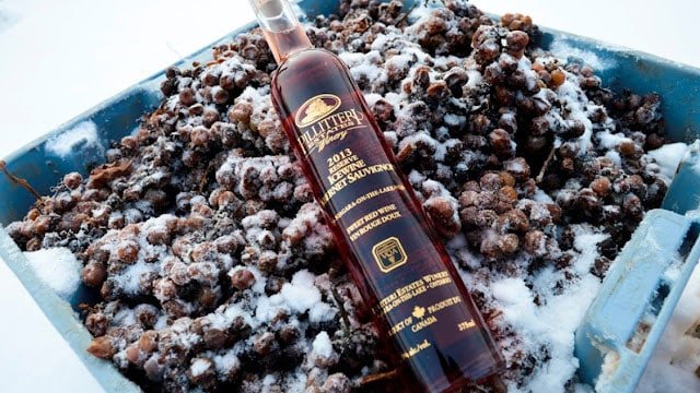 Tìm hiểu về dòng rượu Ice Wine vang băng tuyết Ice Wine Rượu vang tuyết