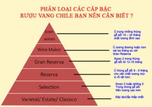 Phân loại các cấp bậc rượu vang chile