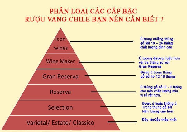 Phân loại các cấp bậc rượu vang chile bạn nên cần biết ? Phân loại các cấp bậc rượu vang chile