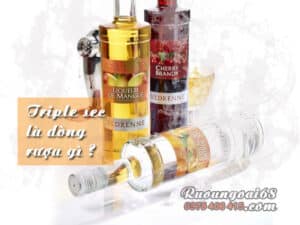 Triple sec là dòng rượu gì