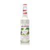 Syrup Monin Coconut