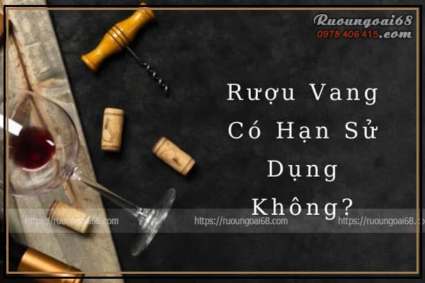Hạn Sử Dụng Rượu Vang: Bạn Cần Biết Gì Về Thời Gian Sử Dụng? Hạn sử dụng rượu vang