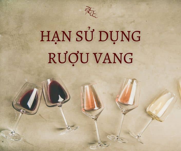 Hạn Sử Dụng Rượu Vang: Bạn Cần Biết Gì Về Thời Gian Sử Dụng? Hạn sử dụng rượu vang