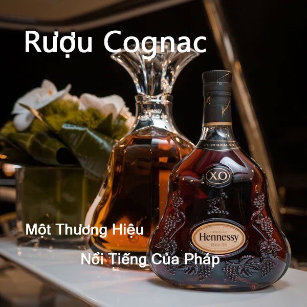 Rượu Cognac - Những điều cần biết trước khi mua Rượu Cognac