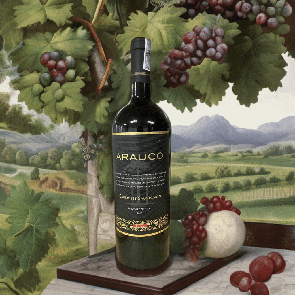 Rượu Vang Arauco Rượu Vang arauco Chile giá hợp lý