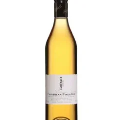 Giffard Caribbean Pineapple/dứa Caribe.