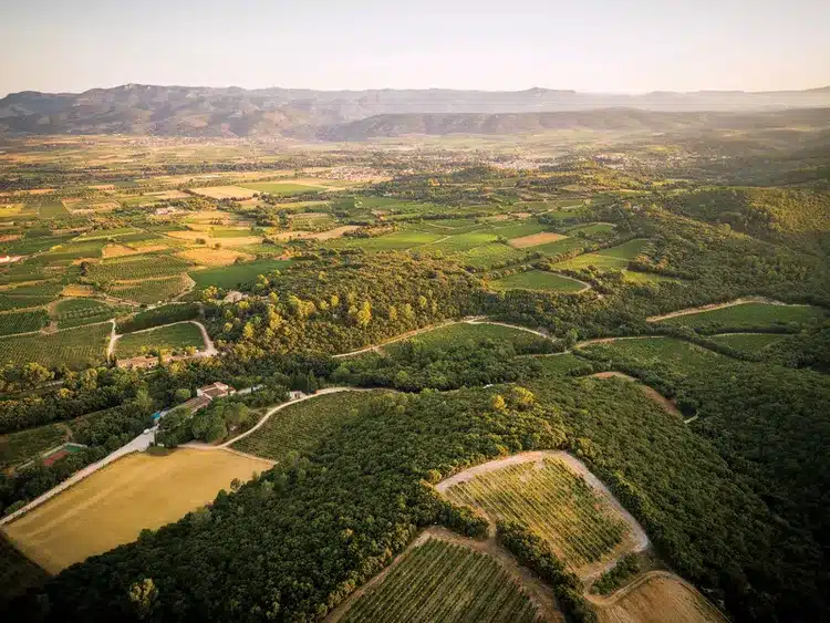 Mas De Daumas Gassac