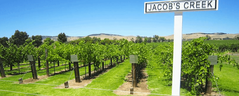 Rượu Vang Jacob's Creek Vang Úc Nổi Tiếng Thế Giới Rượu Vang Jacob
