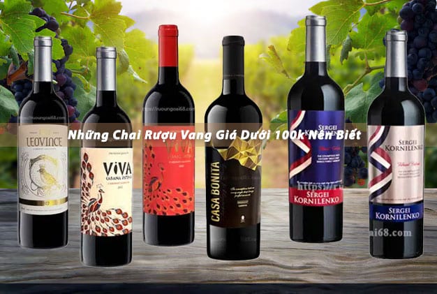 Top 4 Chai Rượu Vang Giá Dưới 100k Nên Biết ruou vang gia duoi 100k 01