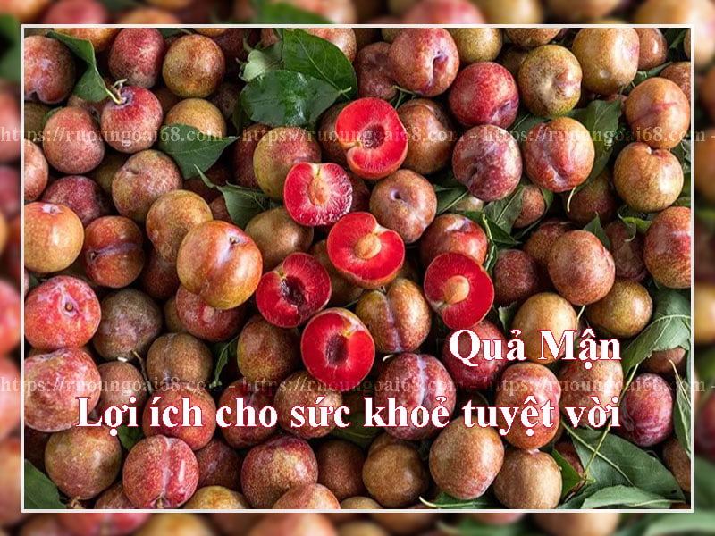 Cách ngâm rượu mận thơm ngon đơn giản tại nhà Cách ngâm rượu mận tại nhà nhanh đơn giản