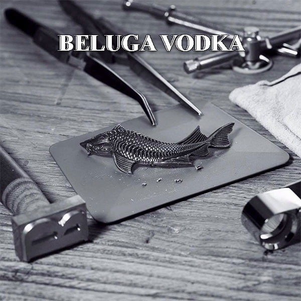 Beluga Cá Tầm