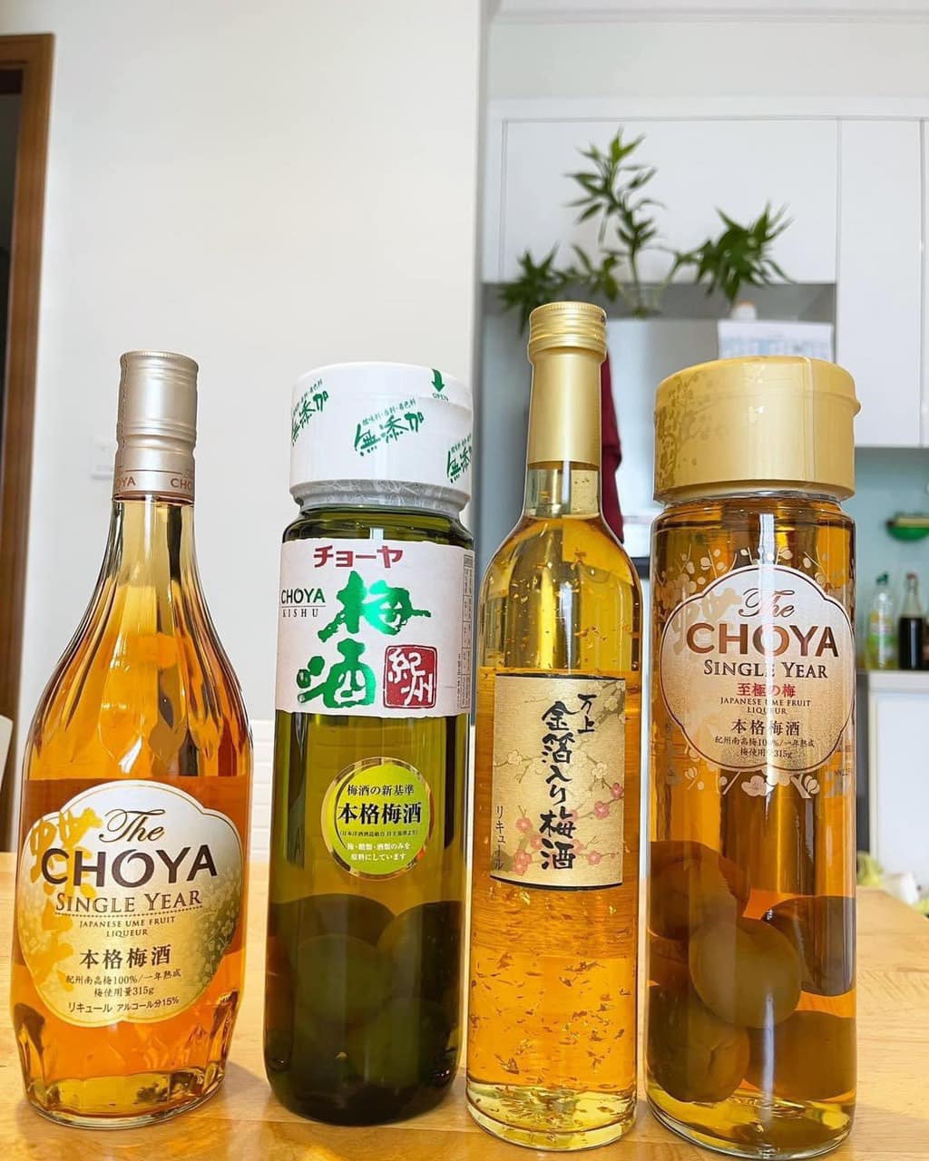 Choya Rượu Mơ Nhật Bản Hành Trình Chinh Phục Thế Giới Của Một Thương Hiệu Lừng Danh