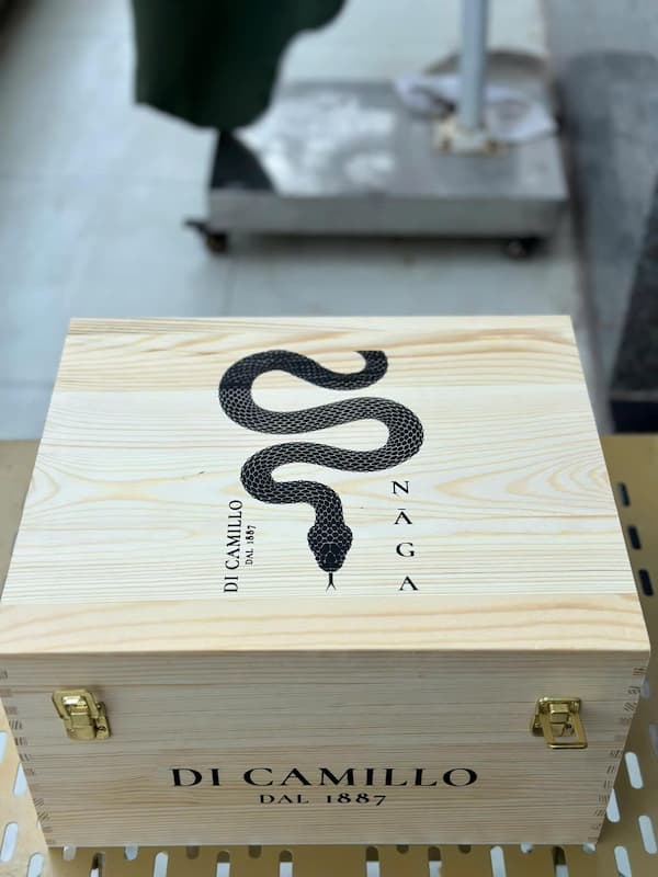Rượu Vang Ý NAGA Di Camillo Vini 2025 Rượu Vang Ý NAGA Di Camillo Vini 2025