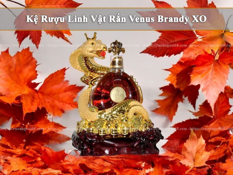 Rắn Venus Brandy XO 2025