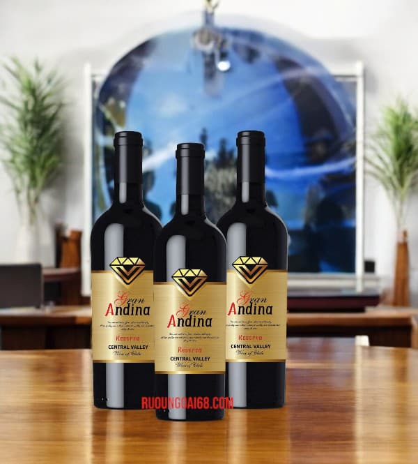Rượu Vang Chile Gran Andina Reserva Rượu Vang Chile Gran Andina Reserva 13.5%