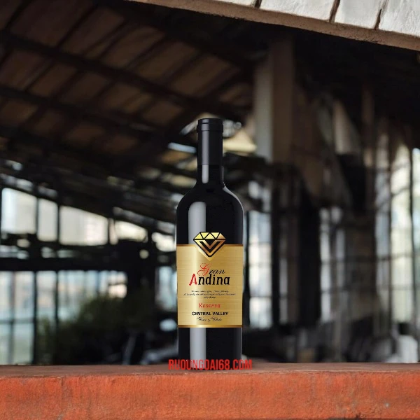 Rượu Vang Chile Gran Andina Reserva Rượu Vang Chile Gran Andina Reserva