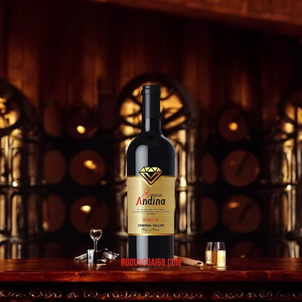 Rượu Vang Chile Gran Andina Reserva Rượu Vang Chile Gran Andina Reserva