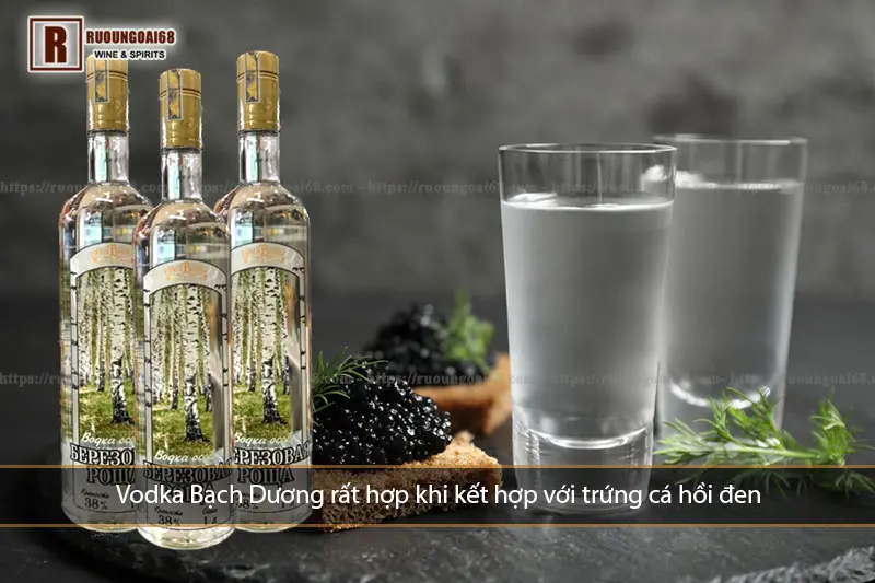 Hướng dẫn cách uống Vodka Bạch Dương đúng chuẩn Nga Vodka Bạch Dương 1 Lít kết hợp với nhiều món ăn