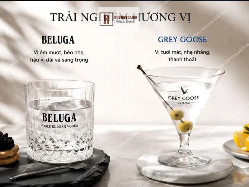 Thưởng thức Vodka Beluga và Grey Goose theo chuyên gia