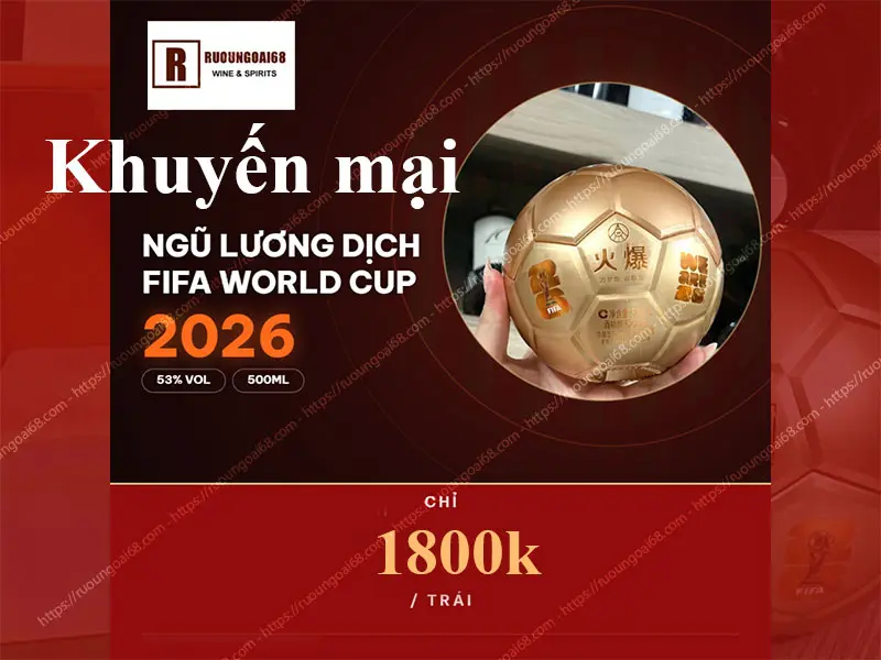 Ngũ Lương Dịch Fifa World Cup 2026 500ml